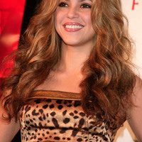 87096_Celebutopia-Shakira-screening_of_Love_In_The_Time_Of_Cholera-25_122_471lo.jpg