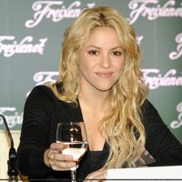 big_shakira_2254.jpg