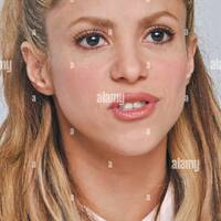 shakira-at-the-hollywood-foreign-press-association-press-conference-for-zootopia-held-in-beverly-hills-ca-on-february-17-2016-2EWDD37.jpg