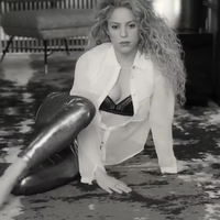 cap_www_shakira-online_fr_00066.png