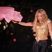 www_shakira-argentina_com_ar-5.jpg