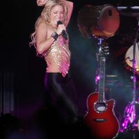 7www_shakira-argentina_com_ar.jpg