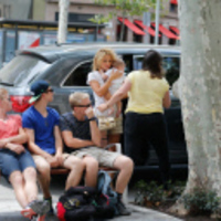 s_281029.jpg