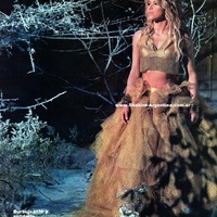 3www_Shakira-Argentina_com_ar.jpg