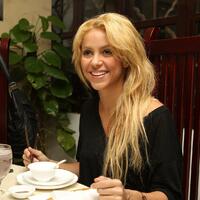 2www_shakira-argentina_com_ar.jpg