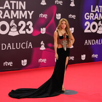 the-24th-annual-latin-grammy-awards---arrivals.jpg