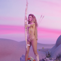 www_shakirafrance_fr_punteria_00221.png