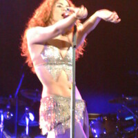 img0779kz8.jpg