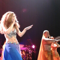 img0810vx6.jpg