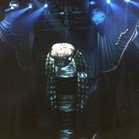05.jpg