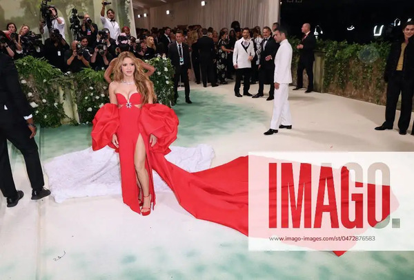 met_gala_tagged_2815729.jpg