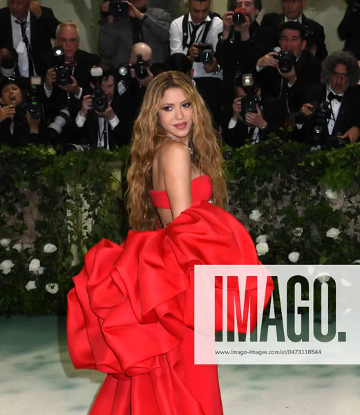 met_gala_tagged_2816829.jpg