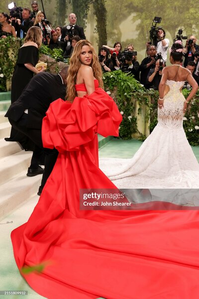 met_gala_tagged_281929.jpg