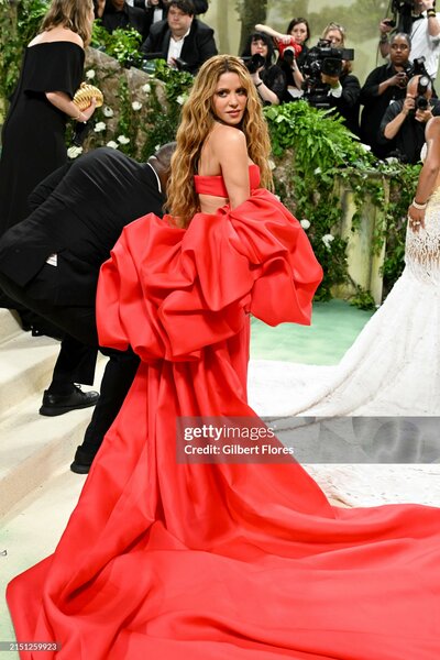 met_gala_tagged_285129.jpg