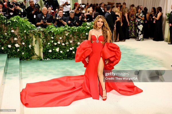met_gala_tagged_286429.jpg