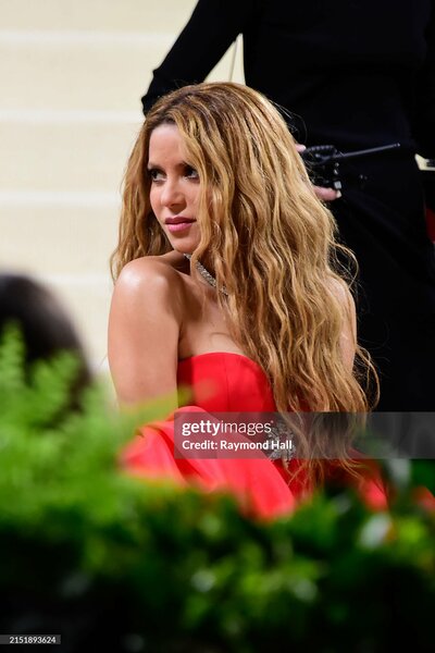 met_gala_tagged_288329.jpg