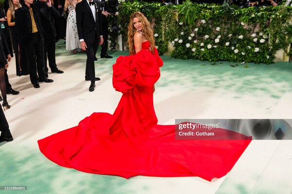 met_gala_tagged_289029.jpg
