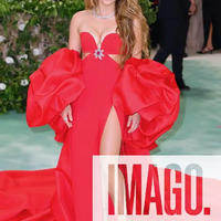 met_gala_tagged_2815229.jpg