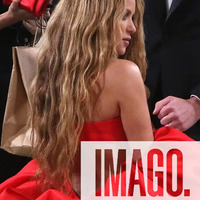 met_gala_tagged_2816529.jpg