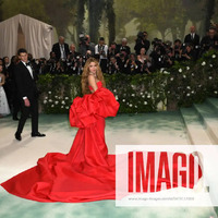 met_gala_tagged_2817129.jpg