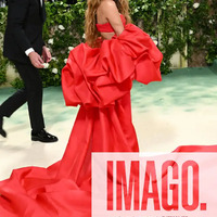 met_gala_tagged_2818729.jpg