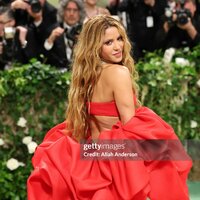 met_gala_tagged_282329.jpg