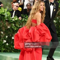 met_gala_tagged_282529.jpg