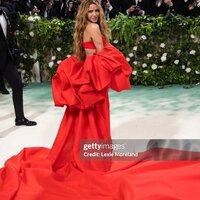 met_gala_tagged_283929.jpg