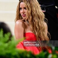 met_gala_tagged_288329.jpg