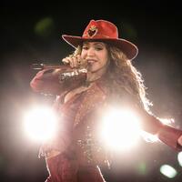 Shakira_-_EstadioGNPSeguros_-_FotoCesar_Vicuna28129.jpg