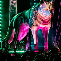 shakifans_peru_1743915878_3604550099422822095_52355898482.jpg