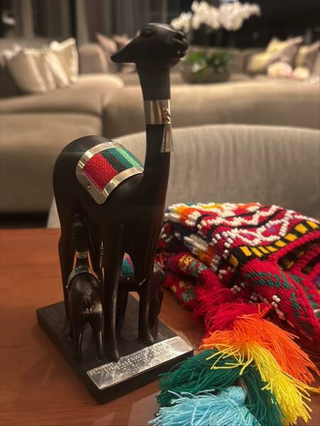 19.11.2025
19.11.2025 - Días con pirámides preincas, lamas multicolores, perros sin pelo y noches mágicas llenas de sentimiento y emoción.
¡Gracias, Perú, por darnos tanto! 💕
