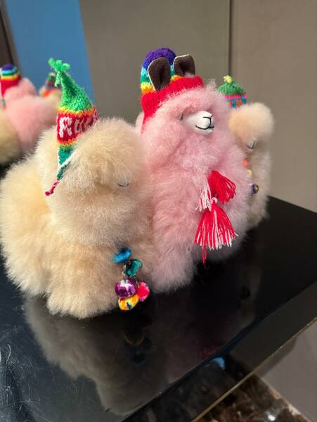 19.11.2025
19.11.2025 - Días con pirámides preincas, lamas multicolores, perros sin pelo y noches mágicas llenas de sentimiento y emoción.
¡Gracias, Perú, por darnos tanto! 💕
