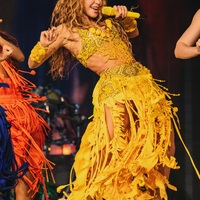 shakira_1782078216_3924671491201426848_217867189.jpg